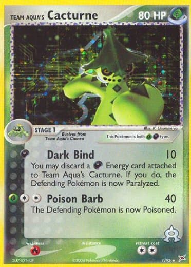 Team Aqua's Cacturne