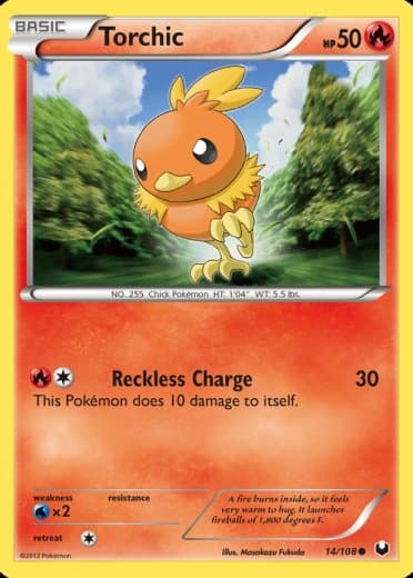 Torchic (14)
