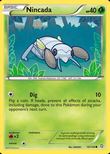 Nincada