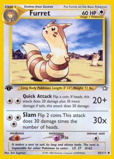 Furret