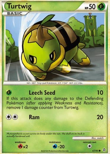 Turtwig