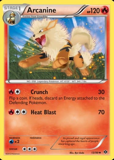 Arcanine (13)