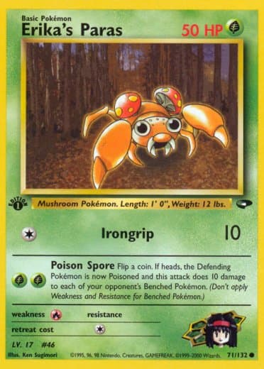 Erika's Paras