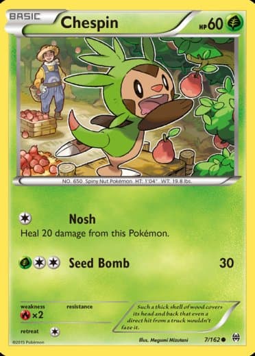 Chespin (7)
