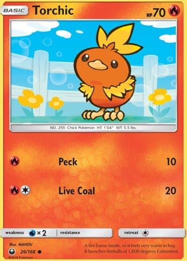 Torchic (26)