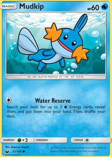 Mudkip (32)
