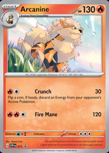 Arcanine - 011