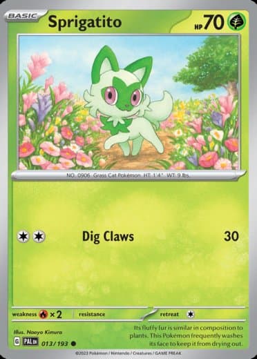 Sprigatito - 013/193