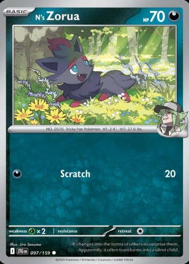 N's Zorua