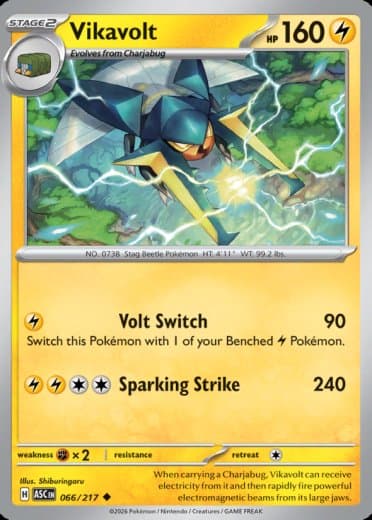 Vikavolt - 066/217