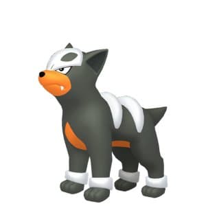 Houndour - Pokemon Card Prices & Trends