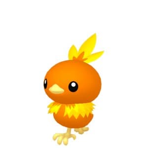 Torchic
