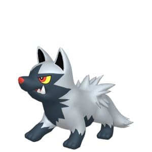 Poochyena - Pokemon Card Prices & Trends