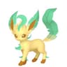 Leafeon