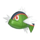 Basculin