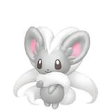 Cinccino