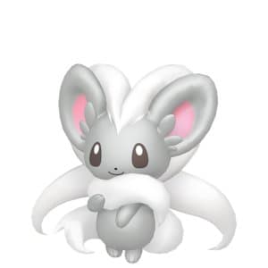 Cinccino