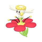 Flabebe