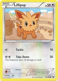 Lillipup