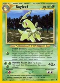 Bayleef (29)