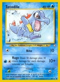 Totodile (80)