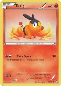 Tepig (16)