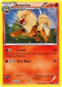 Arcanine (13)