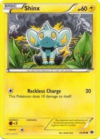 Shinx (43)