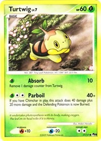 Turtwig