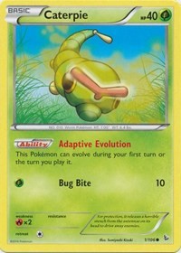 Caterpie