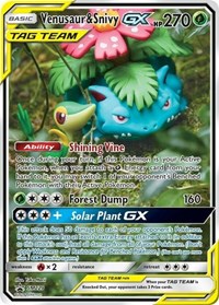 Venusaur & Snivy GX - SM229