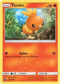 Torchic (25)