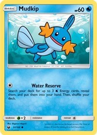 Mudkip (32)