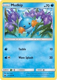 Mudkip (33)