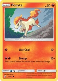 Ponyta