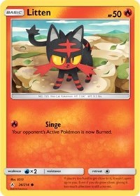 Litten (26)