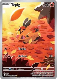 Pokemon Card