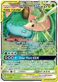 Venusaur & Snivy GX