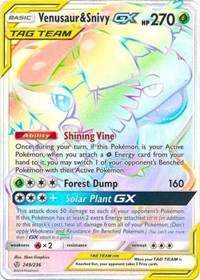 Venusaur & Snivy GX (Secret)