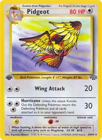 Pidgeot (24)