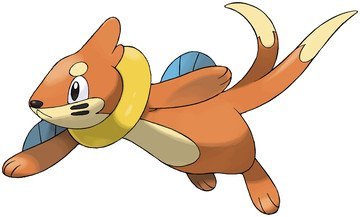 Buizel