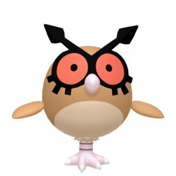 Hoothoot