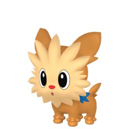 Lillipup