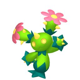 Maractus