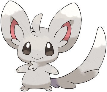 Minccino