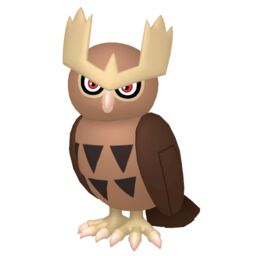 Noctowl