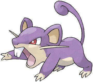 Rattata