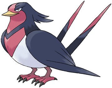 Swellow